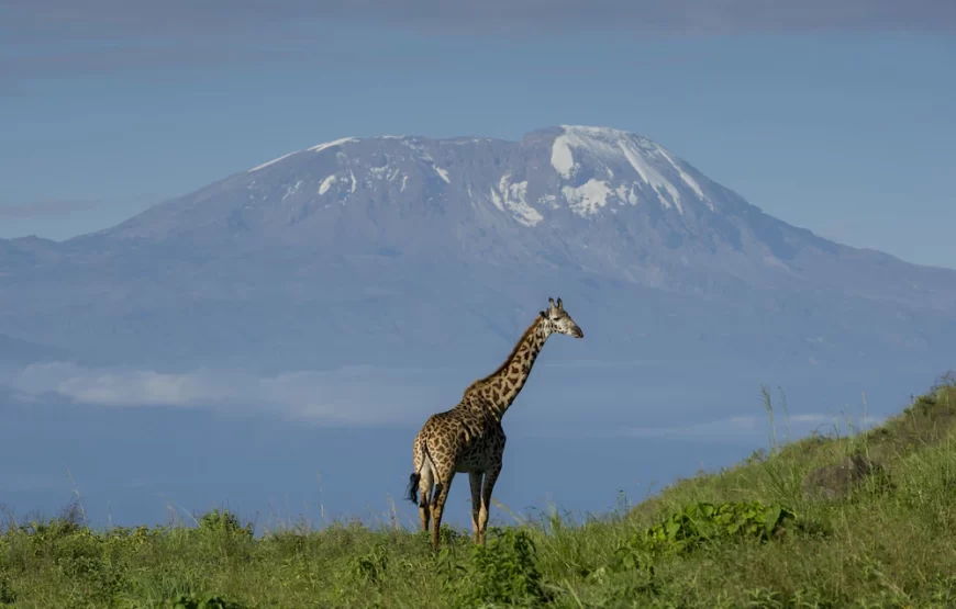 ARUSHA SERENA HOTEL RESORT & SPA