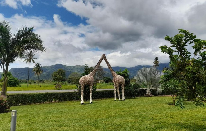 CATE HOTEL MOROGORO