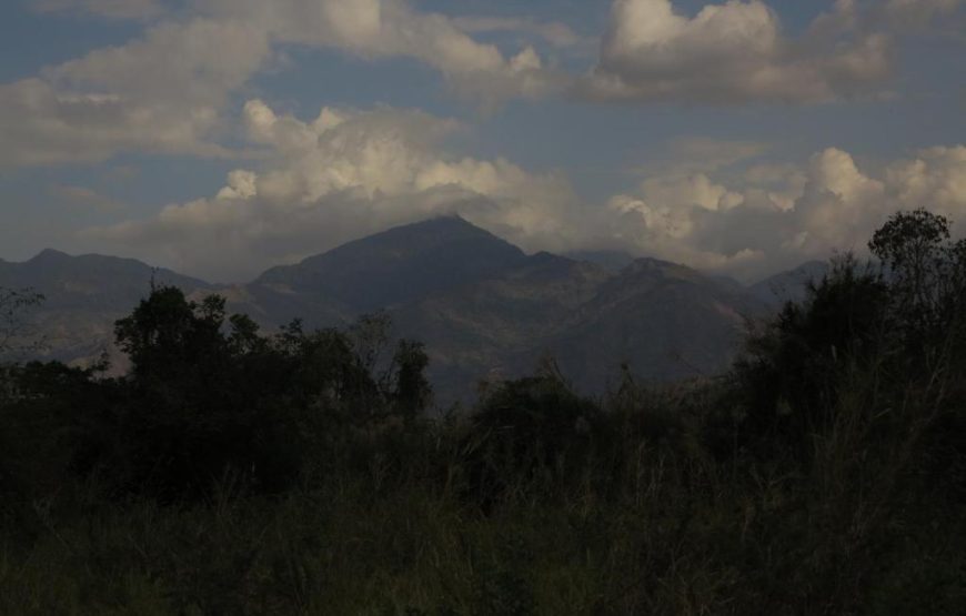 SIMBAMWENNI LODGE AND CAMPING