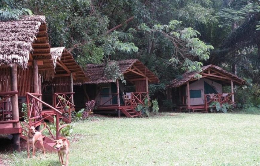 SIMBAMWENNI LODGE AND CAMPING